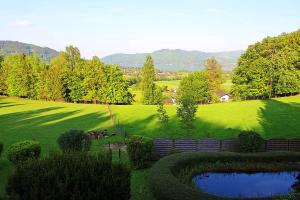 een groen veld met twee vijvers in het gras bij Atterseeblick - Ferienwohnung Anneliese Kunert in Wildenhag