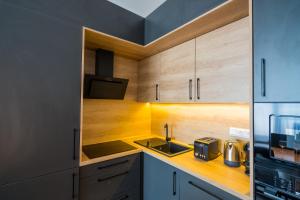 Kuchyňa alebo kuchynka v ubytovaní Kincső Apartman