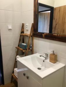 ein Badezimmer mit Waschbecken und Spiegel in der Unterkunft Víkendový dom - Divín in Divín + 21 Fotos