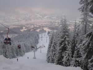 a ski lift with snow covered trees on a ski slope at Cabana Telescaun in Petroşani