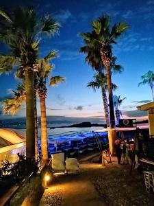 a group of palm trees and a beach at night at Philoxenia House! Maisonette in front of the sea! in Arkoudi