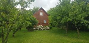 una pequeña casa de madera en medio de árboles en Szyszka i Róża Domek na Jurze en Zelasko