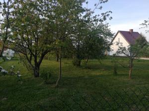 Ogród w obiekcie Sleeping Harsz