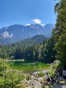 un grupo de personas de pie alrededor de un lago verde en Ferienwohnung Dana en Murnau am Staffelsee