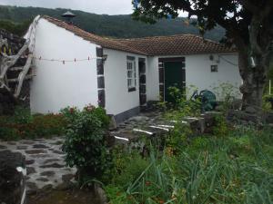 a small white house with a pathway in front of it at Adega do Batista in Calheta