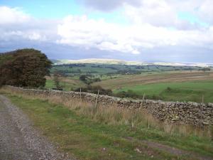 um campo com uma parede de pedra e uma estrada em The Old School B&B em Tebay