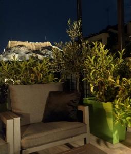 a chair sitting next to two large potted plants at Elia Apartments in Athens