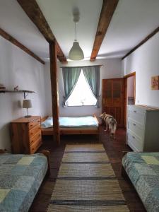 Posteľ alebo postele v izbe v ubytovaní Leszczynowy Sad - domek z kominkiem i ogrodem