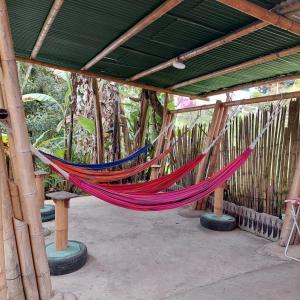 eine Hängematte in einem Pavillon mit Bäumen in der Unterkunft Hostal La Pijaraña in Salento