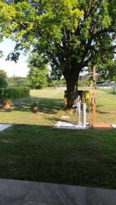 ein Park mit einem Baum und einem Grasfeld in der Unterkunft La Quercia in Cavallino-Treporti