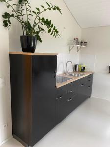 Fotografie z fotogalerie ubytování Petit Appartement v destinaci Hapberg