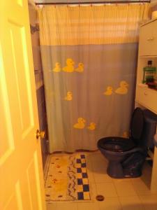 a bathroom with a shower curtain with a toilet at Posada Natytali in San Andrés