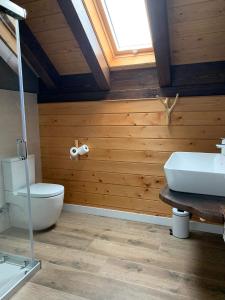 a bathroom with a toilet and a sink at Casa rural ELURKOIA in Isaba