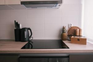 Kuchyňa alebo kuchynka v ubytovaní Formin - Lux Apartment