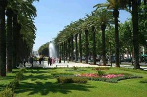 a park with palm trees and a fountain at Appartement Au Centre Ville Prés de la Medina in Fez