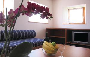 een woonkamer met een tafel met een kom bananen en een fles wijn bij Stunning Home In Tolmin With House A Mountain View in Tolmin