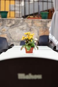 Zdjęcie z galerii obiektu La Higuera ( Casa Rural de Gredos ) w mieście Villarejo del Valle