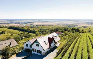 an aerial view of a house and a vineyard at Schönes Ferienhaus Eisenberg in Eisenberg an der Pinka
