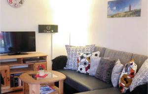 トラフェミュンデにあるNice Apartment In Travemnde With 1 Bedrooms And Wifiのリビングルーム(ソファ、枕、テレビ付)