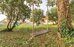 un'altalena appesa ad un albero in un parco di Stunning Home In Liznjan With Wifi a Ližnjan (Lisignano)