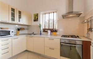 Cucina o angolo cottura di Stunning Home In Liznjan With Wifi