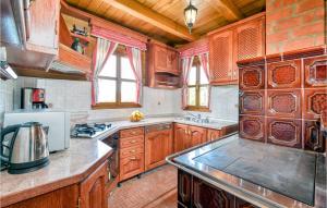 Kuchyň nebo kuchyňský kout v ubytování Beautiful Home In Jarek Habekov With Sauna, Wifi And Outdoor Swimming Pool