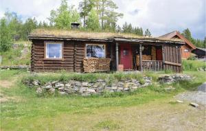 a log cabin with a grass roof at Three-Bedroom Holiday Home In Heidal in Heidal +10 photos