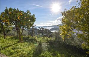 an orange tree in a field with the sun in the sky at Nice Home In Rapallo With Kitchen in Rapallo +31 photos