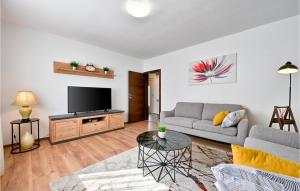 TV a/nebo společenská místnost v ubytování 2 Bedroom Beautiful Home In Trnovec