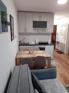 A kitchen or kitchenette at Apartman Anđela i Aleksa Divčibare