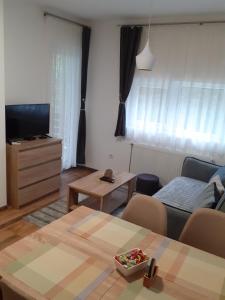 A television and/or entertainment centre at Apartman Anđela i Aleksa Divčibare