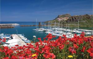 um grupo de barcos ancorados num porto com flores vermelhas em Casa Margherita 2 em Codaruina
