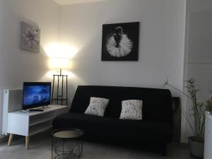 a living room with a black couch and a television at Appartement calme,lumineux ,hyper centre TOURS in Tours