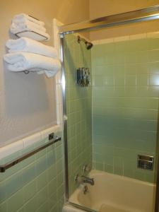 a bathroom with a shower stall and a towel rack at Best Budget Inn in Carthage
