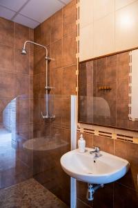 ein Bad mit einem Waschbecken und einer Dusche in der Unterkunft Hostel Triana Backpackers in Sevilla
