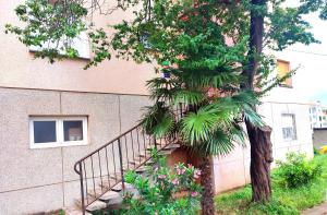 a staircase next to a building with a tree at Apartman Levi in Pula