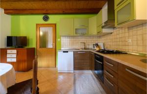 Kuchyňa alebo kuchynka v ubytovaní Nice Home In Mandalencici With Kitchen