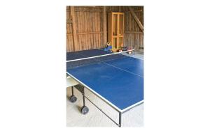 Instalaciones para jugar al ping pong en Awesome home in Bor with 3 Bedrooms and WiFi o alrededores