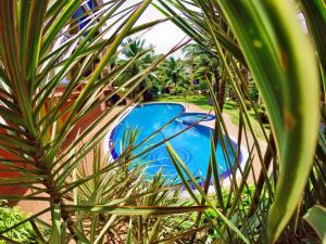 a view of a swimming pool through a palm tree at Villa Candolim in Candolim