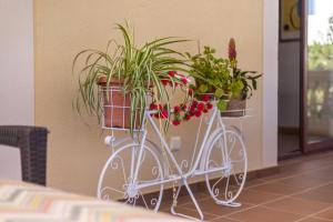Fotografie z fotogalerie ubytování Luxurious villa Sol de Mallorca v destinaci Sol de Mallorca