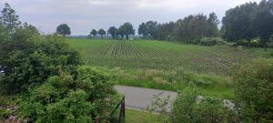 Blick auf ein Feld mit einem Zaun und einer Straße in der Unterkunft zum Kranichblick in Glinstedt