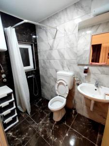 a bathroom with a toilet and a sink at Apartments Minex in Trebinje