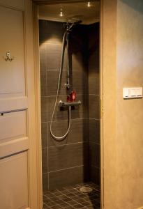 a shower in a bathroom next to a door at Palazzo Patriarcale in Turku in Turku
