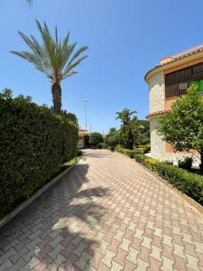 eine Backsteinstraße mit einer Palme und einem Gebäude in der Unterkunft A Casa di Giù B&B in Syrakus