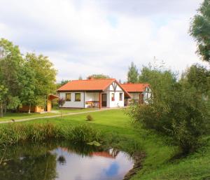 a house with a pond in front of it at Sadova Park in Ślesin