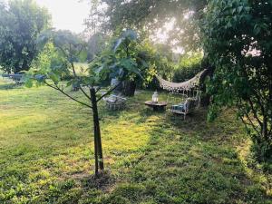 uma rede num campo com uma mesa e uma árvore em Gîte à 10 minutes d'Anduze, au pied des Cévennes em Bagard