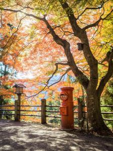a telephone booth next to a tree next to a fence at Yunoshimakan in Gero