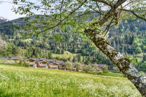 a village in the mountains with a field of flowers at Arlberg Chalets in Wald am Arlberg