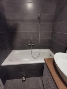 a bathroom with a bath tub and a sink at Apartman Madagaskar in Banja Luka