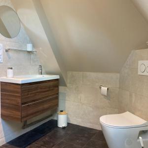 y baño con lavabo y aseo. en Domaine des Thyllères,Cottage 6 Personnes en Beaufour